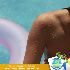 Plantilla Florida Tropical